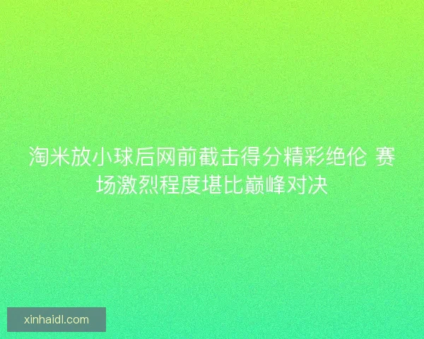 淘米放小球后网前截击得分精彩绝伦 赛场激烈程度堪比巅峰对决